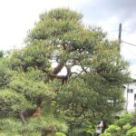 Thumbnail of related posts 085