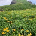 Thumbnail of post image 028