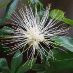 Thumbnail of related posts 140