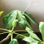 Thumbnail of post image 156