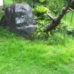Thumbnail of post image 172