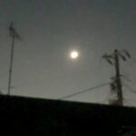 Thumbnail of post image 114