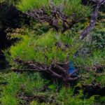 Thumbnail of related posts 007